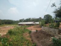 IMG-20241101-WA0118