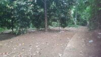 IMG-20241101-WA0123