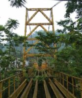 IMG-20241108-WA0029