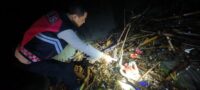 IMG-20241120-WA0126