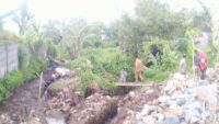 IMG-20250107-WA0002