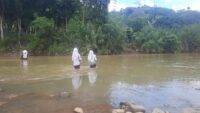IMG-20250107-WA0046