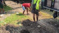 IMG-20260523-WA0099