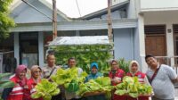 IMG-20260604-WA0038