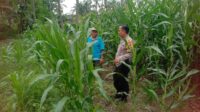 IMG-20260605-WA0036