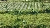 IMG-20260617-WA0021