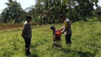 IMG-20260821-WA0012